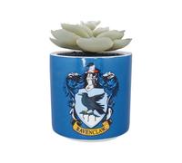 Harry Potter Half Moon Bay Ravenclaw | Indoor Ceramic Plant Pot | Small Decorative Planter for House Plants | Blue Succulent Pot with House Crest | Ravenclaw Gifts