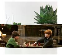 Harry Potter Harry And Ron - Playing Chess Mug