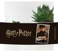 Harry Potter Harry - Letters Mug