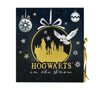 Harry Potter Harry Potter Advent Calendar multicolour Onesize