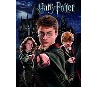 Harry Potter "Harry Ron Hermione" Canvas Print, 40 x 50 cm