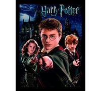 Harry Potter "Harry Ron Hermione" Framed Print, 30 x 40 cm