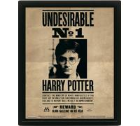 Harry Potter (Harry & Sirius) Framed 10 x 8" 3D Lenticular Poster (Framed)