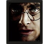 Harry Potter (Harry Vs Voldemort) - Framed (Paperback Book)