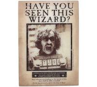 Harry Potter Have You Seen This Wizard Embossed Metal Magnet - Vintage Sirius Black Magnet - Great Gift Idea