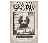 Harry Potter Have You Seen This Wizard Sirius Wood Wall Decor - Vintage Harry Potter Wall Art for Bedroom or Movie Room