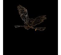 Harry Potter Hedwig Broom Gold Sweatshirt - Black - L