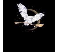 Harry Potter Hedwig Broom Sweatshirt - Black - L