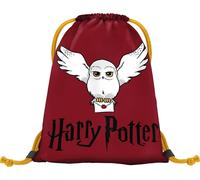 Harry Potter Hedwig Drawstring Gym Bag Childrens Sports PE Sack Training Out...