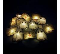 Harry Potter: Hedwig & Letter of Acceptance 2D String Lights
