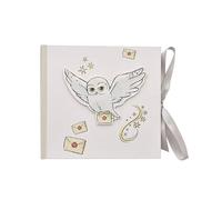 Harry Potter Hedwig Owl & Hogwarts Letter Slip In Photo Album 6x4