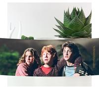 Harry Potter Hermione Ron And Harry Mug