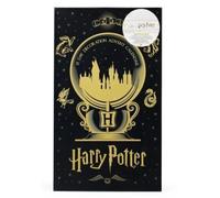 12 Day Advent Decorations Calendar - Harry Potter Harry Potter Multi One Size