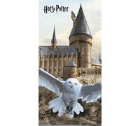 Harry Potter Hogwarts Bath Beach Towel 140 x 70 cm