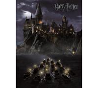 Harry Potter Hogwarts Canvas Print