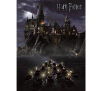 Harry Potter Hogwarts Canvas Print In Grey Grey