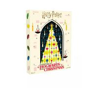 Harry Potter Hogwarts Christmas 2025 Trivia Advent Calendar