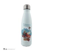 Harry Potter Hogwarts Express Insulated Water Bottle | Acotis