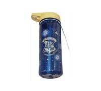 Harry Potter Hogwarts Houses Water Bottle