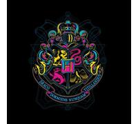 Harry Potter Hogwarts Neon Crest Sweatshirt - Black - XXL