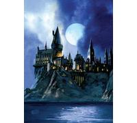 Harry Potter: Hogwarts Signature Pop-Up Card: Reduced Size (PopCraft)