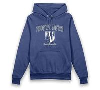 Harry Potter Hogwarts Team Quidditch Vintage Adults Hoodie-M Blue
