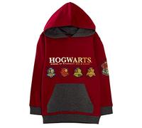 Harry Potter Hoodie Burgundy 4-5 Years