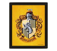 Harry Potter Hufflepuff 3D Framed Picture