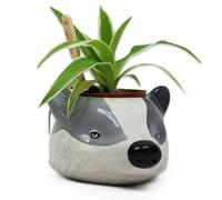 HARRY POTTER HUFFLEPUFF BADGER 3D PLANT POT PLANTER