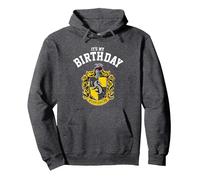 Harry Potter Hufflepuff Birthday Pullover Hoodie, Adult Unisex, Dark Heather Grey, Small