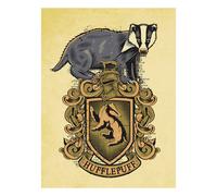 Harry Potter Hufflepuff Canvas Print In Yellow Yellow