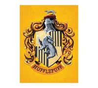 Harry Potter Hufflepuff Canvas Print In Yellow Yellow