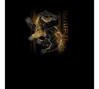 Harry Potter Hufflepuff Geometric Sweatshirt - Black - L