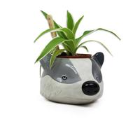 Harry Potter Hufflepuff Plant Pot - In Grey Grey