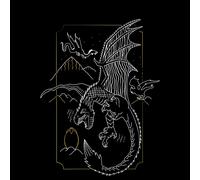 Harry Potter Hungarian Horntail Dragon Men's T-Shirt - Black - S
