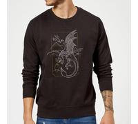 Harry Potter Hungarian Horntail Dragon Sweatshirt - Black Black