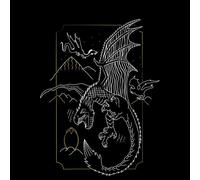 Harry Potter Hungarian Horntail Dragon Women's T-Shirt - Black - L