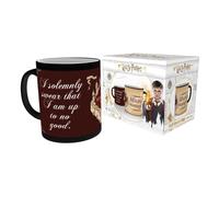 Harry Potter I Solemnly Swear Heat Change Mug (Paperback Book)
