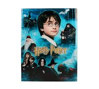HARRY POTTER - Impression en Verre - Philosopher's Stone - 30X40 Cm