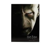 HARRY POTTER - Impression en Verre - Voldemort Face- 30X40 Cm