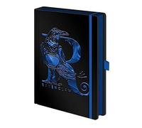 HARRY POTTER Journal Notebook A5, (Ravenclaw Foil Design) A5 Writing Pad/Note Book with 240 Lined Pages - Official Harry Potter Merchandise