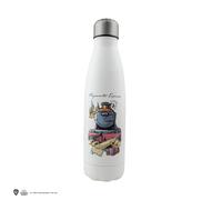 Harry Potter Journey To Hogwarts Insulated Water Bottle | Acotis