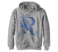 Harry Potter Kids Deathly Hallows Ravenclaw Youth Pullover Hoodie Hooded Sweatshirt