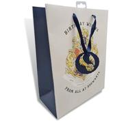 Harry Potter Large Gift Bag for Birthday Presents, Officially Licensed