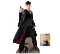 Harry Potter Lifesize Cardboard Cutout Quidditch Captain Official, 170cm x 88cm Includes Mini Cutout and 25x20cm Photo