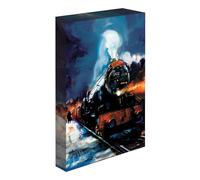 HARRY POTTER Light Up Canvas (Hogwarts Express Design), Large Canvas 30cm x 40cm, HARRY POTTER Gifts for Women and Men, HARRY POTTER Gifts for Girls and Boys - Official Merchandise