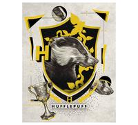 B&Q Art Print – Harry Potter Hufflepuff – Limited Edition – Multicolor – One Size