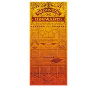 Harry Potter Limited Edition Quidditch Art Print