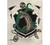 Harry Potter Limited Edition Slytherin 14x11" Art Print