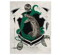Harry Potter Limited Edition Slytherin Art Print